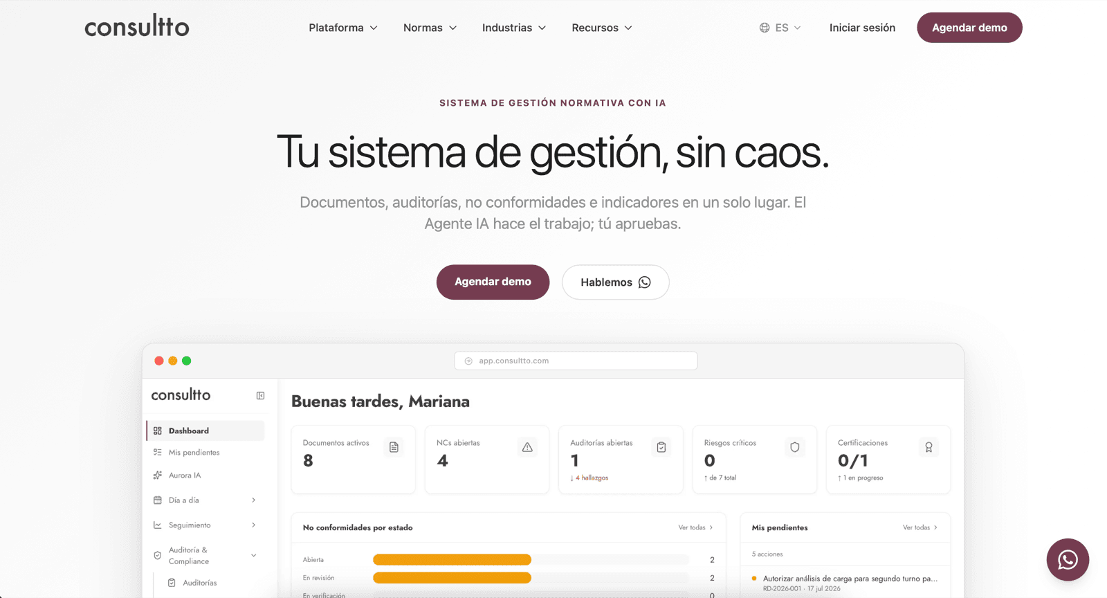Sitio web de Consultto